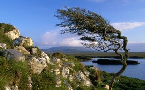 地球瑰宝 大尺寸自然风景壁纸精选 第八辑 Connemara County Galway Ireland 爱尔兰 康尼马拉图片壁纸 地球瑰宝自然风景精选 第八辑 风景壁纸