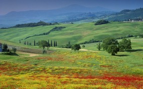 地球瑰宝 大尺寸自然风景壁纸精选 第八辑 San Quirico Tuscany Italy 意大利 圣奎里科图片壁纸 地球瑰宝自然风景精选 第八辑 风景壁纸