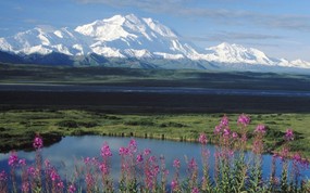 地球瑰宝 大尺寸自然风景壁纸精选 第八辑 Mount McKinley Denali National Park Alaska 德纳利国家公园 麦金利山图片壁纸 地球瑰宝自然风景精选 第八辑 风景壁纸