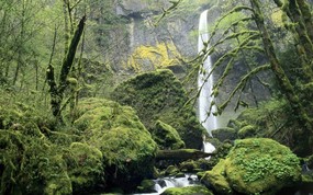 俄勒冈 哥伦比亚河峡谷国家风景区壁纸 地球瑰宝自然风景精选 第八辑 风景壁纸