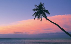地球瑰宝 大尺寸自然风景壁纸精选 第七辑 Fiji Sunset 斐济 海边日落图片壁纸 地球瑰宝自然风景精选 第七辑 风景壁纸