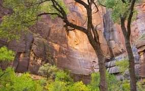 地球瑰宝 大尺寸自然风景壁纸精选 第七辑 Zion National Park Utah 犹他州 锡安国家公园图片壁纸 地球瑰宝自然风景精选 第七辑 风景壁纸