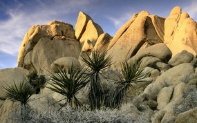地球瑰宝 大尺寸自然风景壁纸精选 第七辑 Rock Formations Joshua Tree National Park California 加州 约书亚树国家公园图片壁纸 地球瑰宝自然风景精选 第七辑 风景壁纸