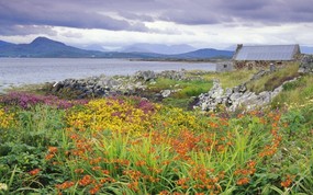 爱尔兰 卡拉维湾壁纸 地球瑰宝自然风景精选 第七辑 风景壁纸