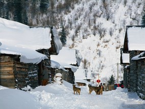  冬天下雪的小村图片 desktop wallpaper of Snowing Village 冬天白雪小村庄 风景壁纸