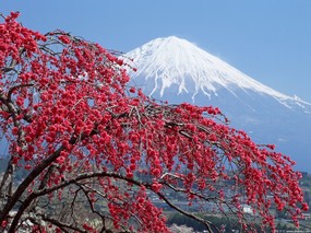 富士山风光壁纸 第三辑 第四辑 壁纸17 富士山风光壁纸 第三 风景壁纸