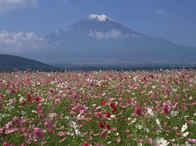 富士山风光壁纸 第三辑 第四辑 壁纸20 富士山风光壁纸 第三 风景壁纸