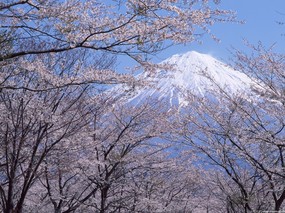 富士山风光壁纸 第三辑 第四辑 壁纸29 富士山风光壁纸 第三 风景壁纸