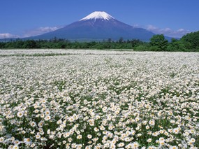 富士山风光壁纸 第三辑 第四辑 壁纸35 富士山风光壁纸 第三 风景壁纸