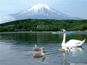 富士山 四季风景壁纸 壁纸4 富士山 四季风景壁纸 风景壁纸
