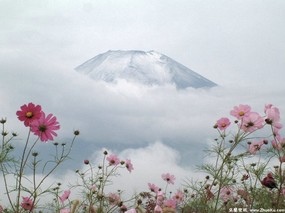 富士山 四季风景壁纸 壁纸5 富士山 四季风景壁纸 风景壁纸