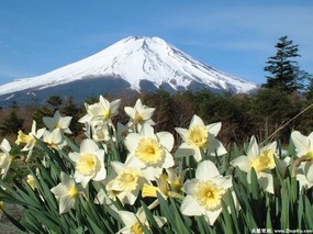 富士山 四季风景壁纸 壁纸7 富士山 四季风景壁纸 风景壁纸