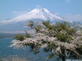 富士山 四季风景壁纸 壁纸11 富士山 四季风景壁纸 风景壁纸
