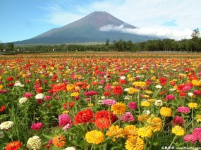 富士山 四季风景壁纸 壁纸15 富士山 四季风景壁纸 风景壁纸