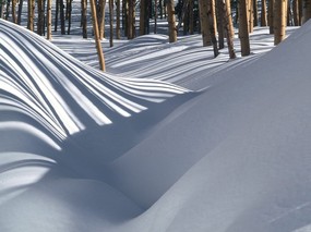 感受冬天 冰天雪地壁纸 感受冬天！冰天雪地壁纸 风景壁纸