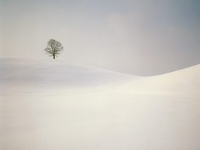 感受冬天 冰天雪地壁纸 感受冬天！冰天雪地壁纸 风景壁纸