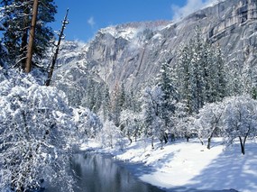 感受冬天 冰天雪地壁纸 感受冬天！冰天雪地壁纸 风景壁纸