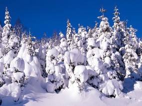 感受冬天 冰天雪地壁纸 感受冬天！冰天雪地壁纸 风景壁纸