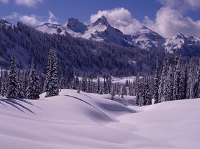 感受冬天 冰天雪地壁纸 感受冬天！冰天雪地壁纸 风景壁纸