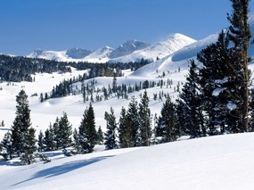 感受冬天 冰天雪地壁纸 感受冬天！冰天雪地壁纸 风景壁纸