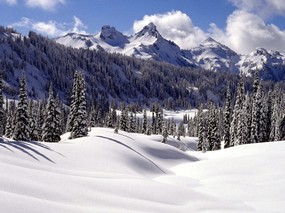 感受冬天 冰天雪地壁纸 感受冬天！冰天雪地壁纸 风景壁纸