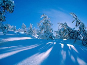 感受冬天 冰天雪地壁纸 感受冬天！冰天雪地壁纸 风景壁纸