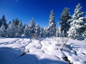 感受冬天 冰天雪地壁纸 感受冬天！冰天雪地壁纸 风景壁纸