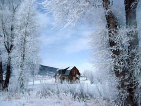 感受冬天 冰天雪地壁纸 感受冬天！冰天雪地壁纸 风景壁纸