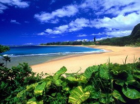 感受外国 夏威夷风光精美壁纸 感受外国！夏威夷风光精美壁纸 风景壁纸