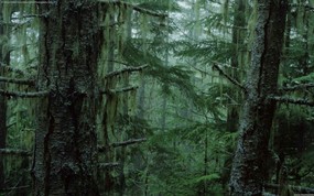 高清风景 壁纸18 高清风景 风景壁纸