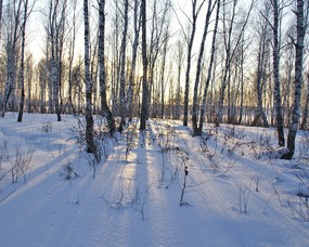 高清风景电脑壁纸下载 高清风景电脑壁纸下载 风景壁纸