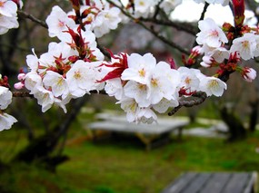 高清晰风景桌面壁纸 高清晰风景桌面壁纸 风景壁纸