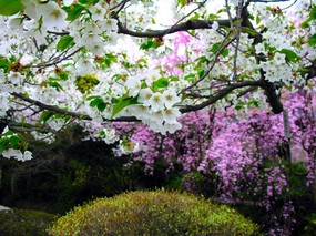 高清晰风景桌面壁纸 高清晰风景桌面壁纸 风景壁纸