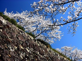 高清晰风景桌面壁纸 高清晰风景桌面壁纸 风景壁纸