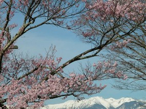 高清晰风景桌面壁纸 高清晰风景桌面壁纸 风景壁纸