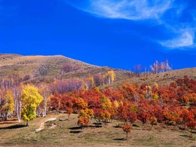 高清晰风景桌面壁纸 高清晰风景桌面壁纸 风景壁纸