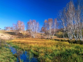 高清晰风景桌面壁纸 高清晰风景桌面壁纸 风景壁纸