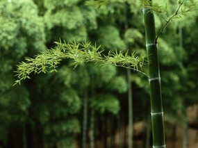 高清晰风景桌面壁纸 高清晰风景桌面壁纸 风景壁纸