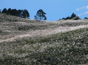 高原草地 风景壁纸