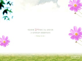  心灵 圣经箴言风景壁纸 韩国版圣经壁纸 风景篇(三) 风景壁纸