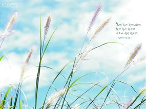  Scenery wallpaper with Christian Proverbs 韩国版圣经壁纸 风景篇(三) 风景壁纸
