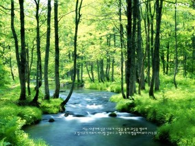  Scenery wallpaper with Christian Proverbs 韩国版圣经壁纸 风景篇(三) 风景壁纸