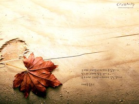  心灵 圣经福音诗歌风景壁纸 韩国版圣经壁纸 风景篇(三) 风景壁纸