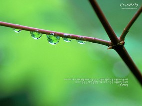 韩国版圣经风景壁纸 韩国版圣经风景壁纸 风景壁纸