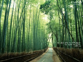 韩国版圣经风景壁纸 韩国版圣经风景壁纸 风景壁纸