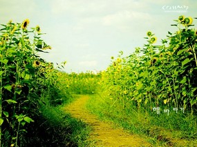 韩国版圣经风景壁纸 韩国版圣经风景壁纸 风景壁纸