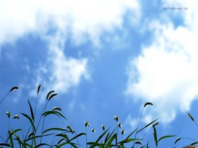  个人摄影 自然风景 Desktop Wallpaper of Nature Photography 韩国个人摄影作品 风景壁纸