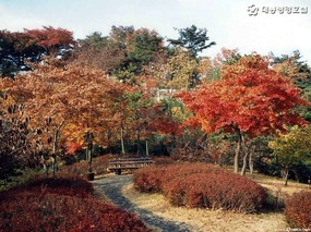 韩国秋季壁纸 风景壁纸