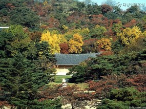 韩国秋季壁纸 壁纸5 韩国秋季壁纸 风景壁纸