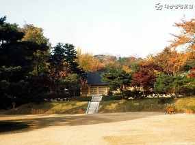 韩国秋季壁纸 壁纸6 韩国秋季壁纸 风景壁纸